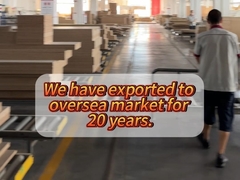 20 سال از کارخانه