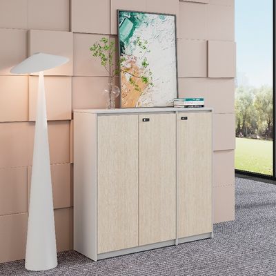 خرید کابینت فایل درب چوبی برای ذخیره سازی سازمان یافته و امن در دفتر online manufacture