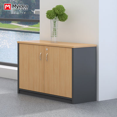 Wall Mounted Low Cabinet Large Capacity Filing Cabinet with Key Lock Double Door Customizable Classified Storage IP40 Rating