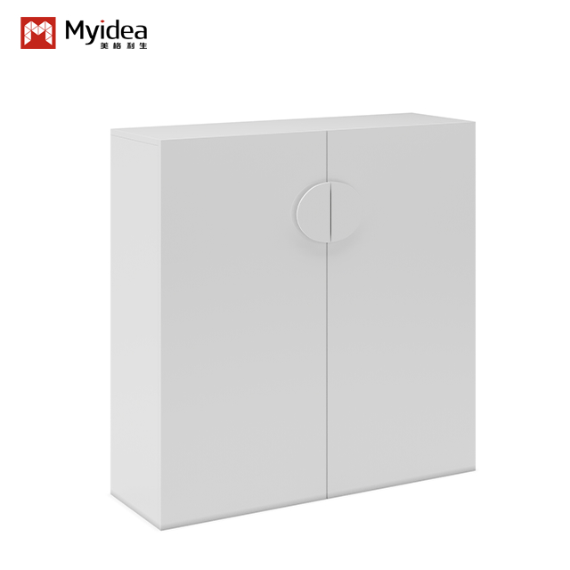 Foshan Factory File Cabinet Staff Office Storage Cabinet File Storage Low Cabinet