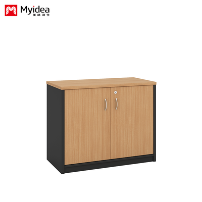 درب دوگانه با قفل کلید، کابینت فایل با ظرفیت بزرگ، کابینت پایین دیواری، کابینت فایل طبقه بندی شده سفارشی